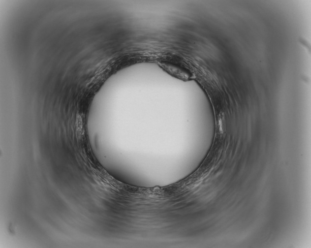 X0000096151347200802081402