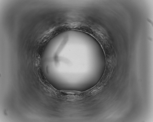 X0000096151349200802081402