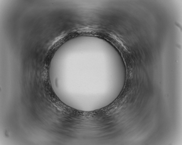 X0000096151350200802081402