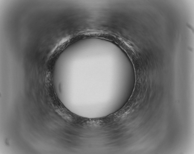 X0000096151351200802081402