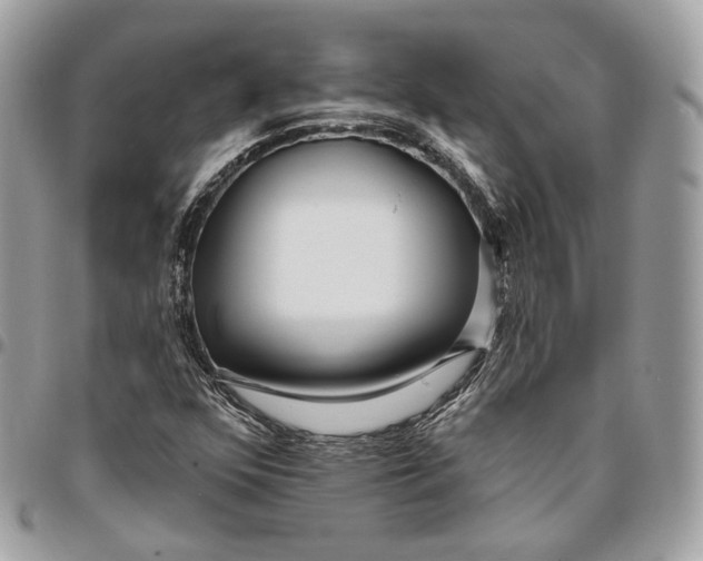 X0000096151352200802081402