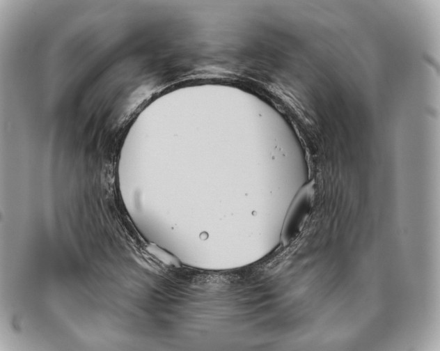 X0000096151355200802081402