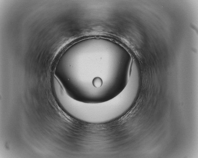 X0000096151356200802081402