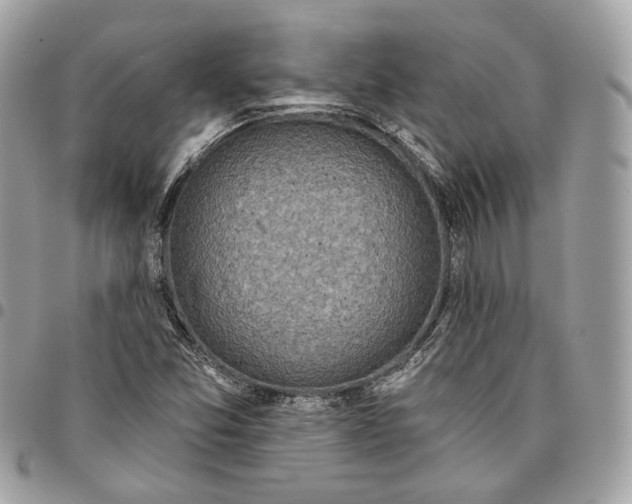 X0000096151357200802081401