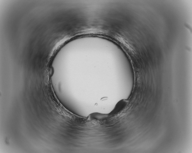 X0000096151358200802081401