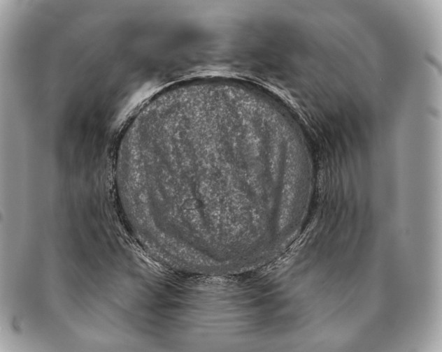 X0000096151359200802081401