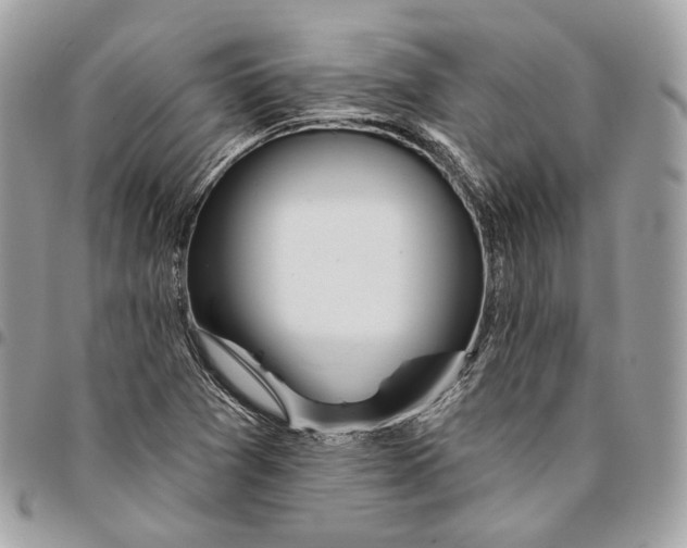X0000096151361200802081401