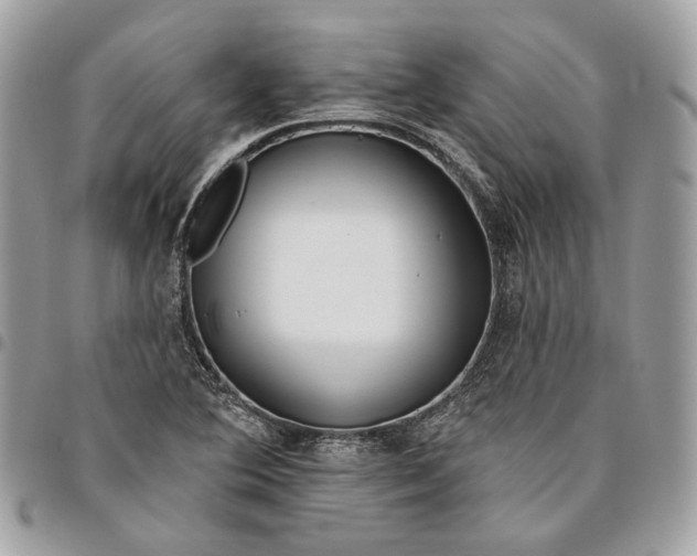 X0000096151364200802081401