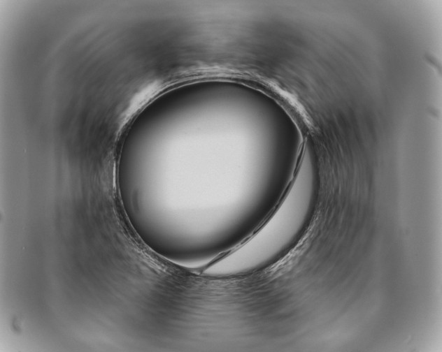 X0000096151365200802081401