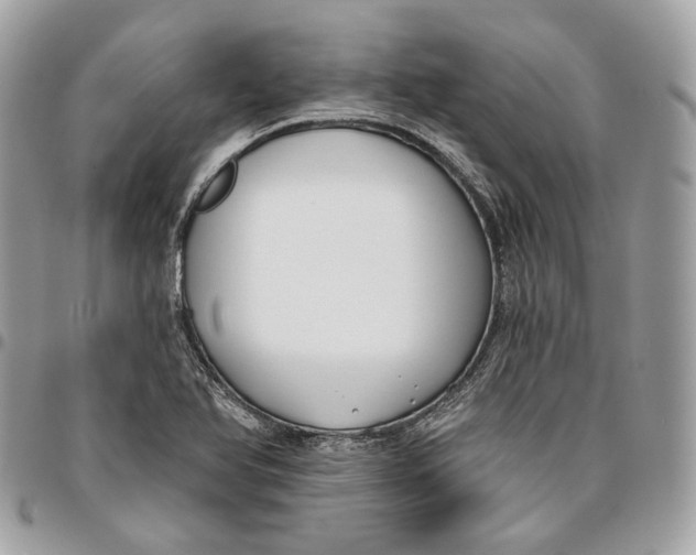 X0000096151366200802081401