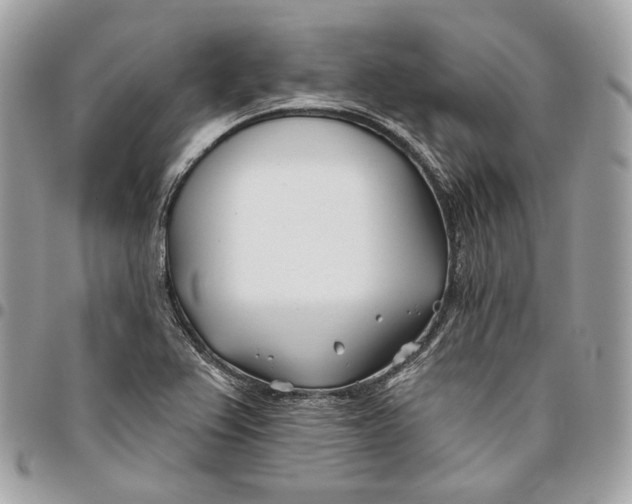X0000096151367200802081401