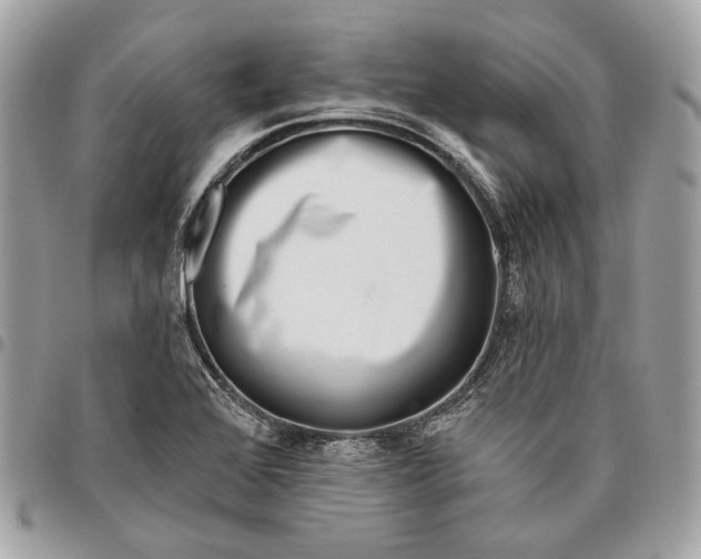 X0000096151368200802081401