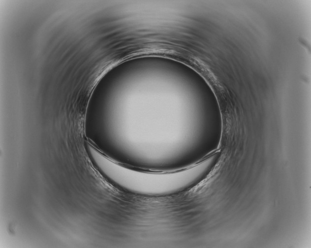 X0000096151369200802081401