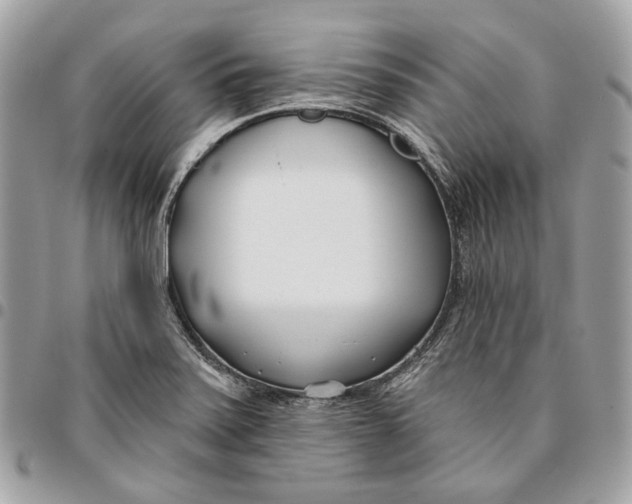X0000096151371200802081401