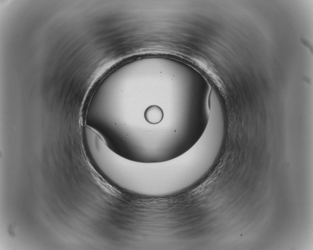 X0000096151372200802081401