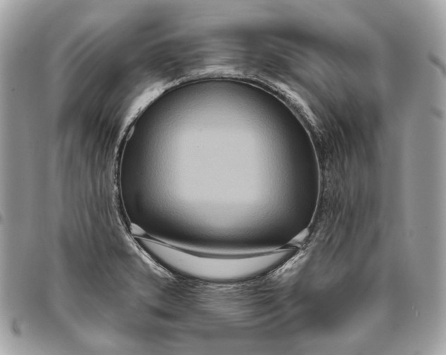 X0000096151373200802081401