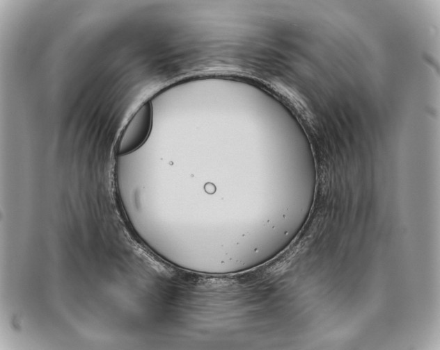 X0000096151374200802081401