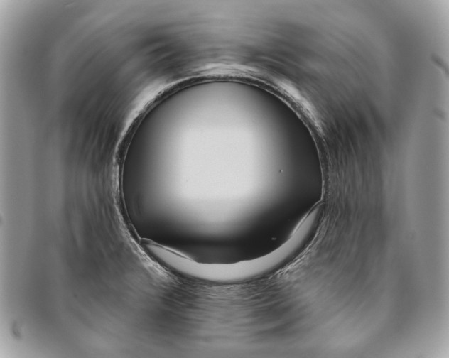 X0000096151376200802081401