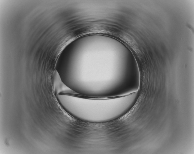 X0000096151377200802081401