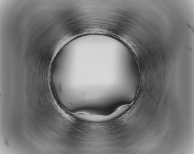 X0000096151379200802081401
