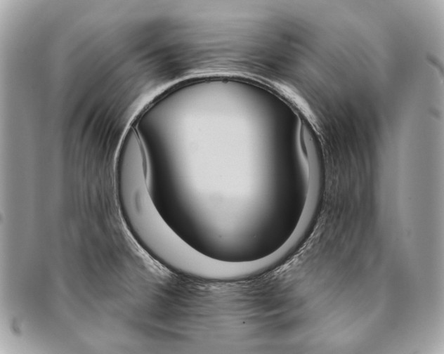 X0000096151380200802081401