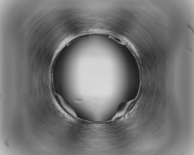 X0000096151381200802081401