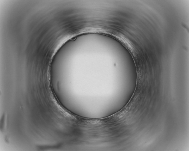 X0000096151382200802081401