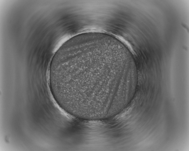 X0000096151383200802081401