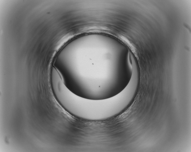 X0000096151384200802081401
