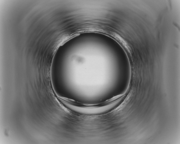 X0000096151385200802081401