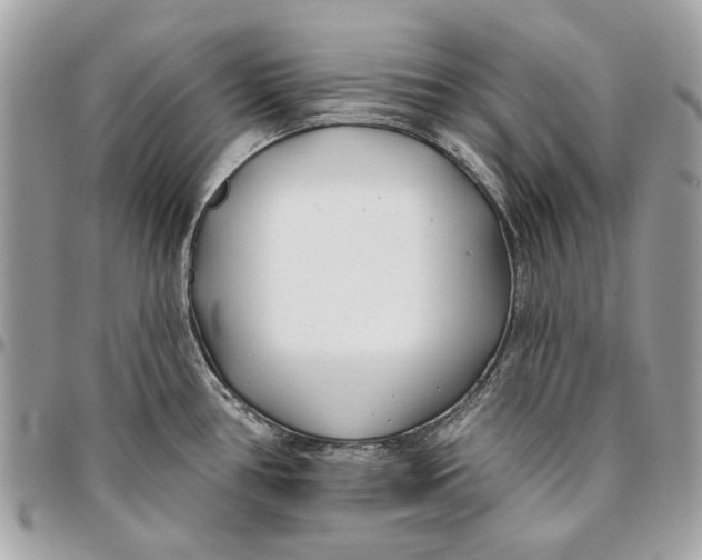 X0000096151386200802081401