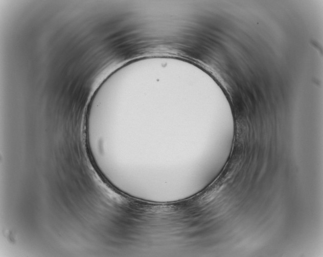 X0000096151387200802081401