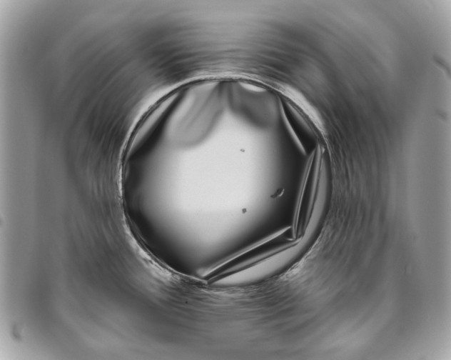 X0000096151388200802081401