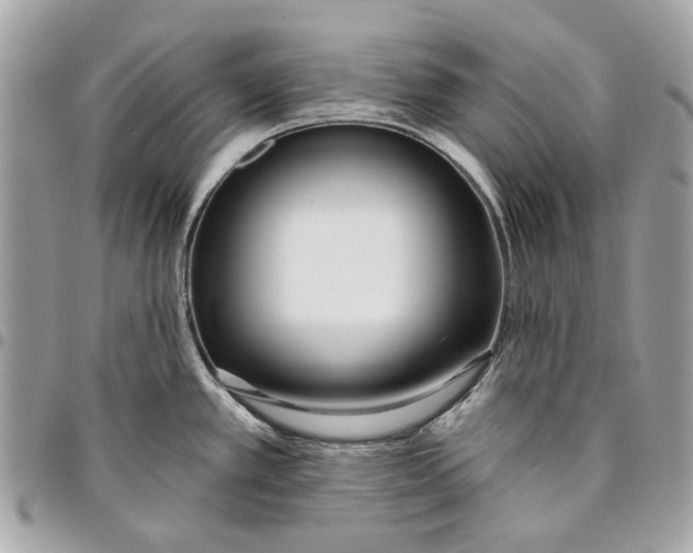 X0000096151389200802081401