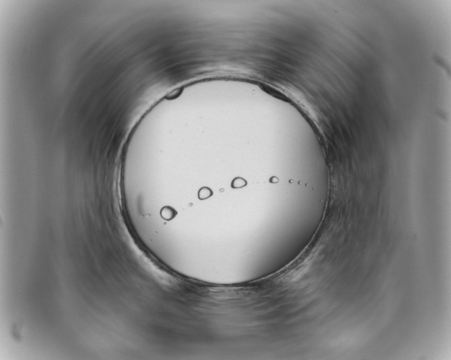 X0000096151391200802081401