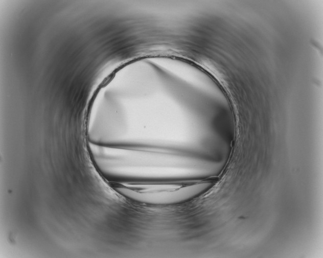 X0000096151392200802081401