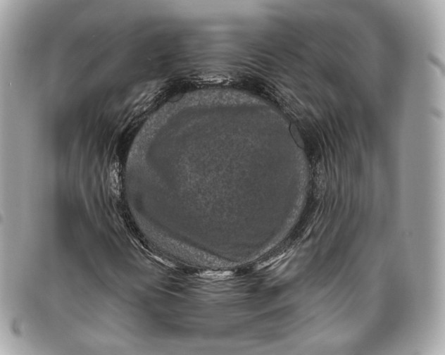 X0000096151394200802081400