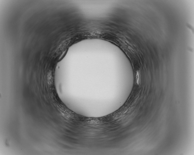 X0000096151395200802081400
