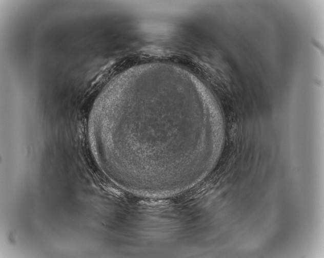X0000096151397200802081400