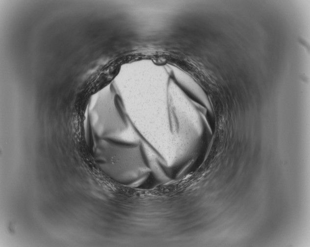 X0000096151398200802081400