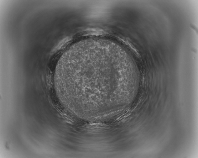 X0000096151399200802081400