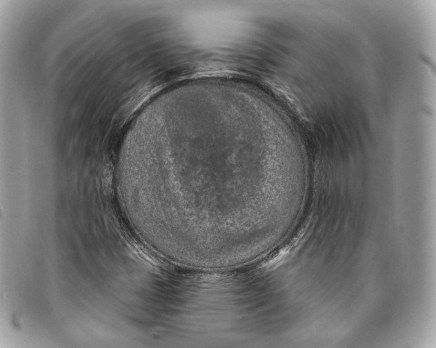 X0000096151401200802081400