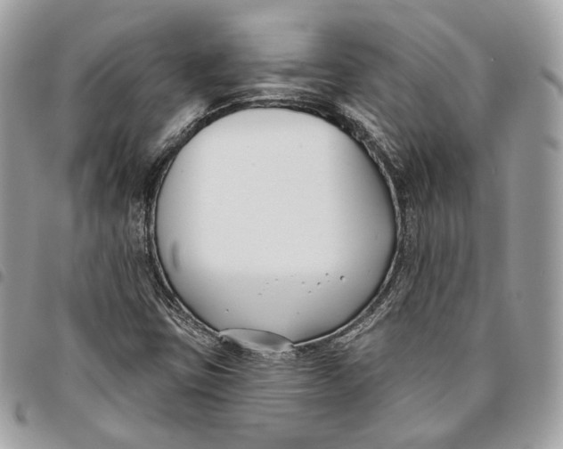 X0000096151403200802081400