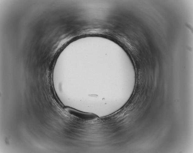 X0000096151404200802081401