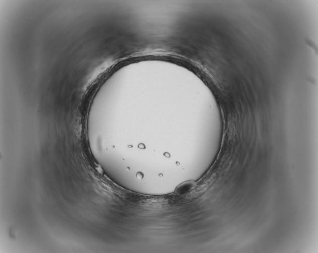 X0000096151406200802081401