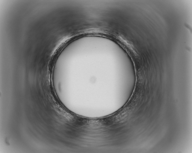 X0000096151408200802081401