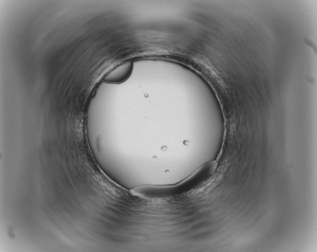 X0000096151409200802081401