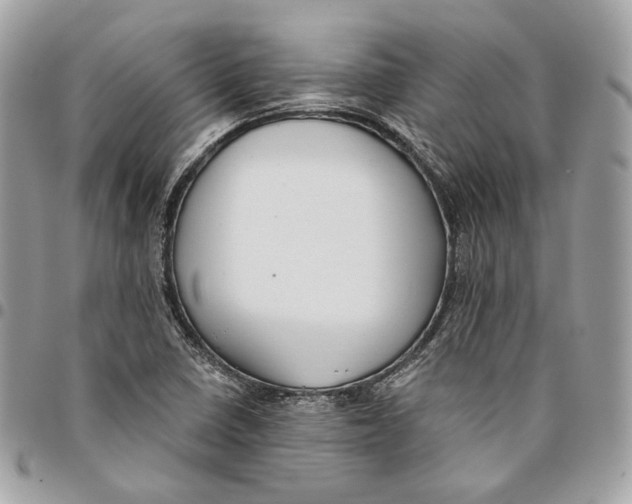 X0000096151410200802081401