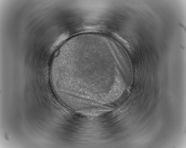 X0000096151411200802081401