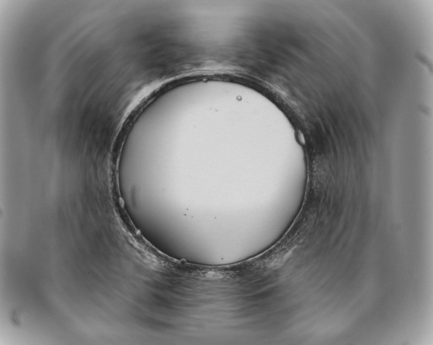 X0000096151412200802081401